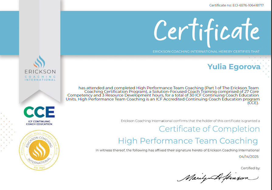 High-Performance Team Coaching